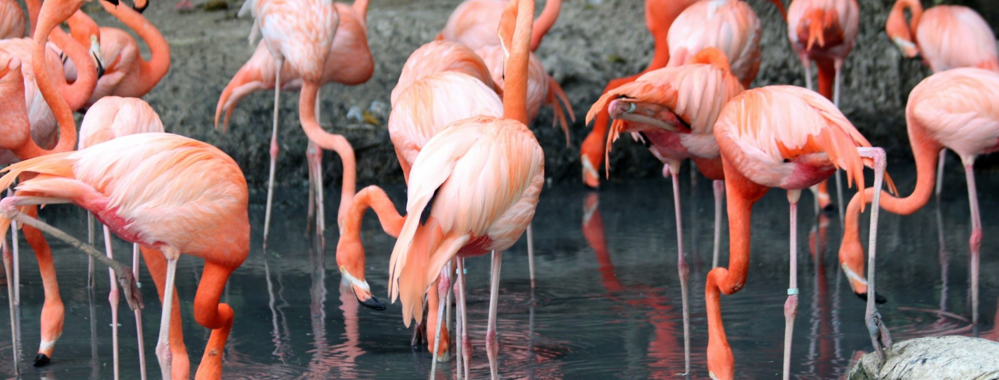 2 Days/1 Night Lake Nakuru Self drive